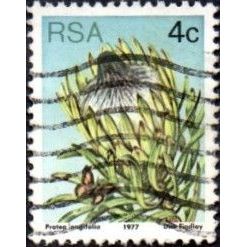 South Africa. 1977 4c Value. Protea Longifolia. Fine Used