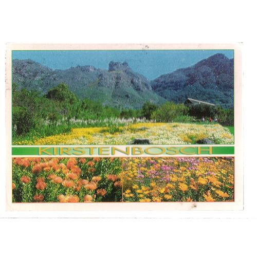 KIRSTENBOSCH NATIONAL BOTANIC GARDENS, SOUTH AFRICA used postcard 1999 pm =