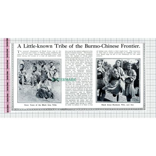C5982) Black Lisus Tribe Tibet - 1913 Cutting