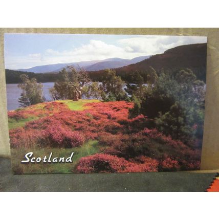 THE HEATHER AT LOCH AN EILEAN, ROSS-SHIRE, SCOTLAND unused vintage postcard =