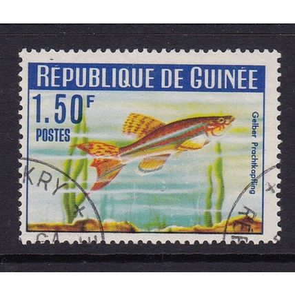 GUINEA 1964 FISH 1.50f USED SG418