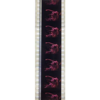 Bram Stokers Dracula. Pk GEB - A023w . 1 STRIP OF 5 - 35MM FILM CELLS.