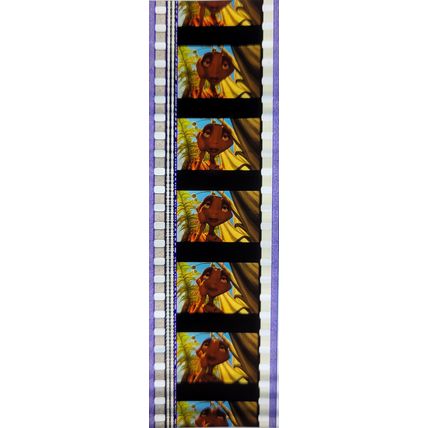 Pk KTQ - KIDS - MIX - b028B . 1 STRIP OF 5 - 35MM FILM CELLS. ( ANTZ )