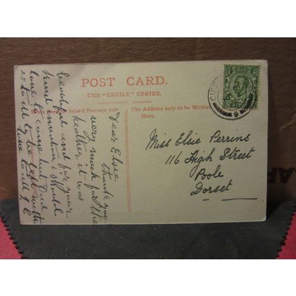 DEER, CIRENCESTER PARK, , GLOUCESTERSHIRE used antique postcard 1913 pm =