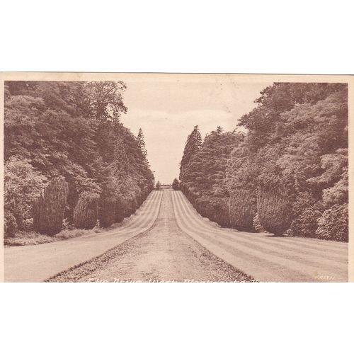 The Drive West, Montacute House Somerset Postcard (SM75676)