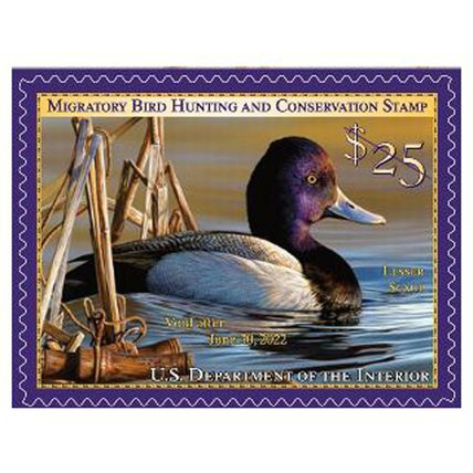 RW88, Mint VF NH $25 Lesser Scaup Federal Duck Stamp - Stuart Katz