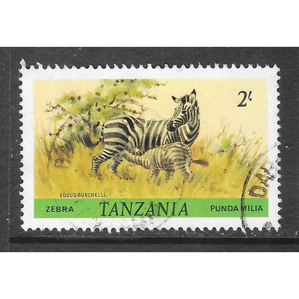 TANZANIA ZEBRA MAMMAL ANTELOPE FAUNA USED FEMALE FEEDING CALF