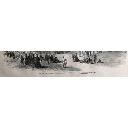 The mass meeting held at Richmond, Virginia, August 29, 1865 - Harper's Weekly