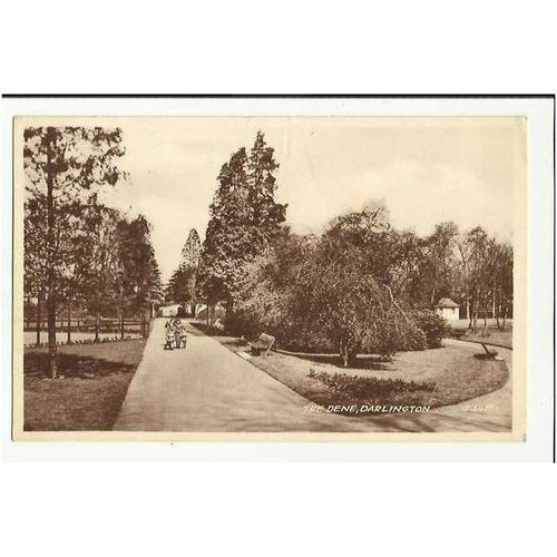 Durham DARLINGTON The Dene Postcard by Valentine (G.2435)
