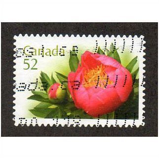 CAN 2007 52c(S/A) 'PEONIES' FINE USED (EBID27-675)