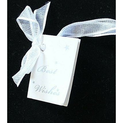 Silver Toned Pumpkin Carriage Bridal Charm Studded with Diamantes