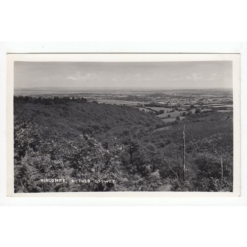 Bincombe near Nether Stowey Postcard RP Somerset Publisher H H Hole