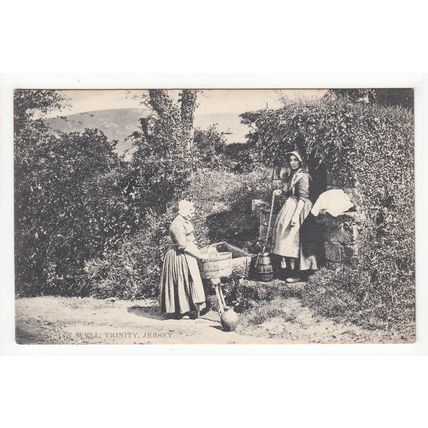 The Ivy Well Trinity Jersey Postcard Channel Islands