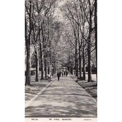 The Vines Rochester Vintage Real Photo Postcard