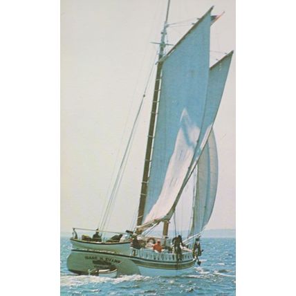 Isaac Evans Schooner Tall Ship Postcard