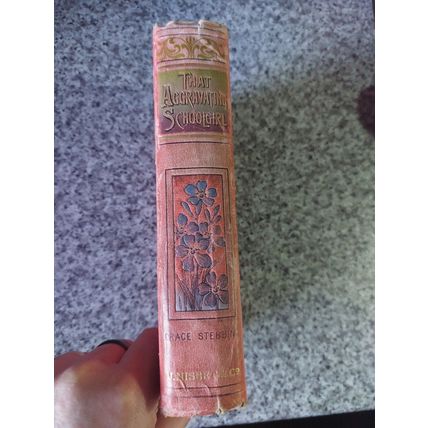 That Aggravating Schoolgirl By Grace Stebbing Hardcover - 1898, First edition?