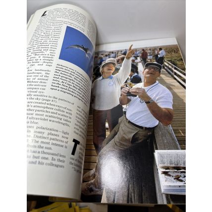 National Geographic Magazine June 1991 Europe’s Dark Dawn Vintage Collectable