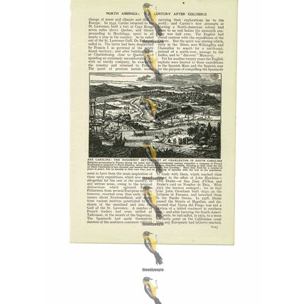 Arx Carolina, Huguenot Settlement, Charleston, USA, Book Illustration, 1909