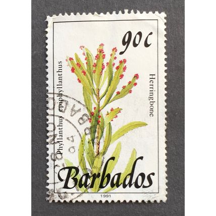 Barbados 1991 Wild Plants SG 901a 90c Herringbone, imprint date 1991