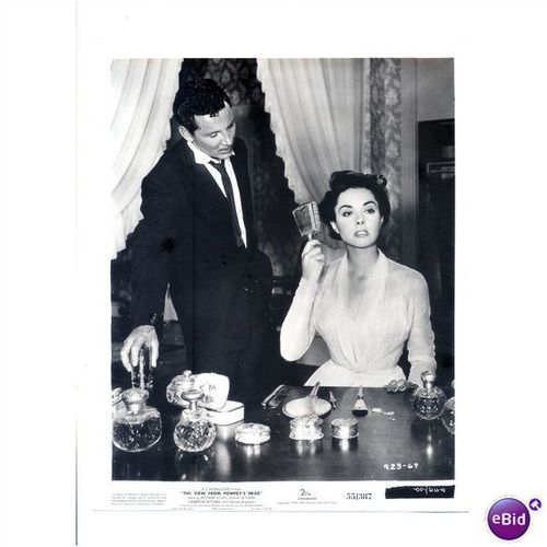 DANA WYNTER, CAMERON MITCHELL "View From Pompey's Head" 1955 Press Still