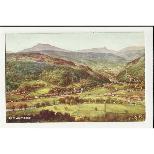 A931 Wales BETTWS-Y-COED Valentine "Art Colour" Postcard