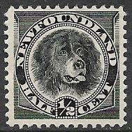1894 SG 59 - mint no gum - DOG