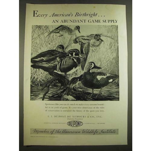 1938 Du Pont Sporting Powder Division Ad - Every American's Birthright