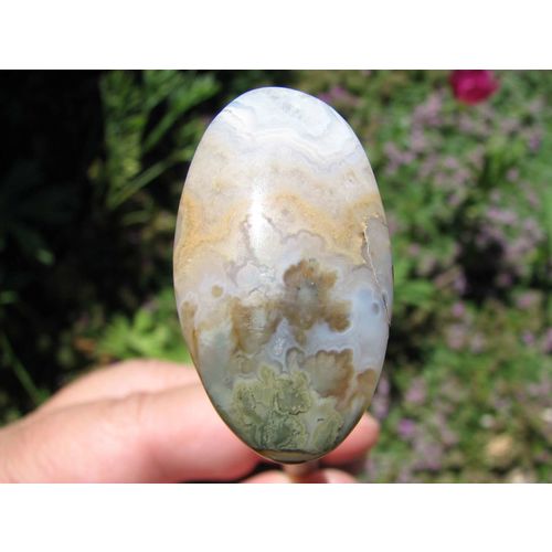 Prudent Man Plume Agate Oval Cabochon: Multicolor Plumes, Banding; 32+cts; Idaho