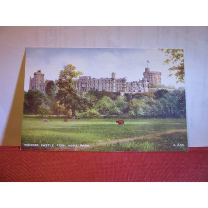 WINDSOR CASTLE from HOME PARK by Brian Gerald unused vintage postcard =