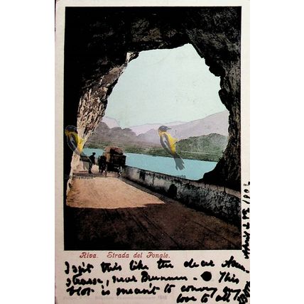 Riva, Strada Del Ponale, Italy, Purger Photochrome Postcard, 1902
