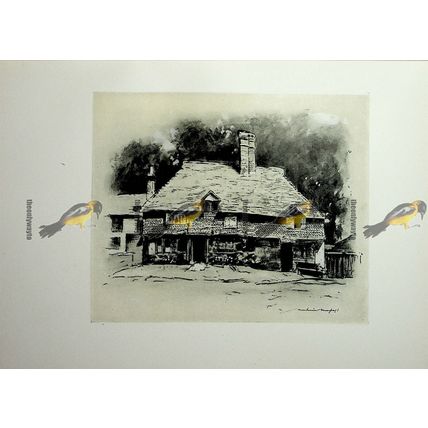 Cottage In Surrey, England, Menpes, Book Illustration (Print), 1903