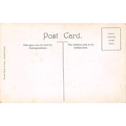 Ayah (Indian Nurse) : a colour printed postcard