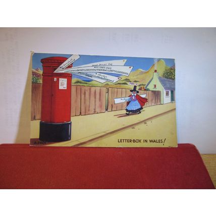 LETTERBOX IN WALES, LLANFAIRPWLL ANGLESEY used postcard seaside humour 1961 pm =