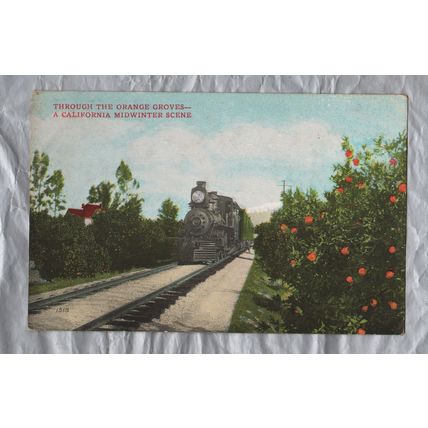 1518 Through The Orange Groves-A California Mid Winter Scene - Postally Unused