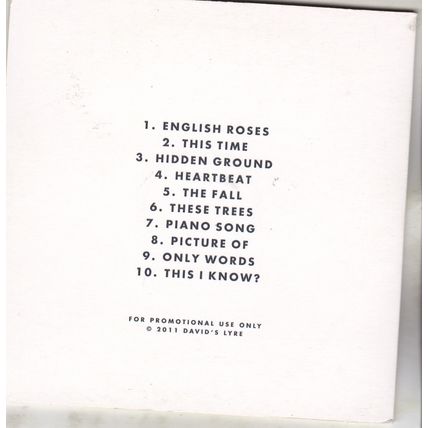 David's Lyre : Picture Of Our Youth. (2011) PROMO CD Album