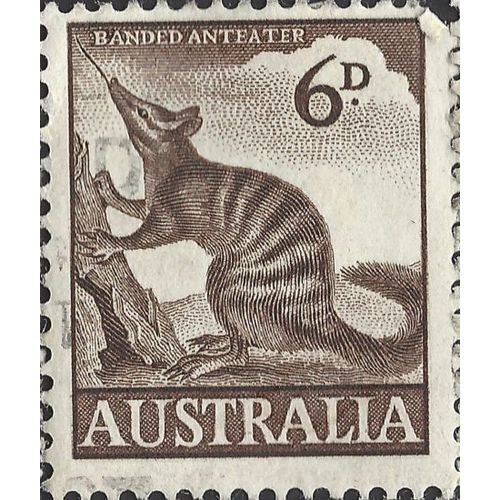 AUSTRALIA, MAMMAL, Numbat, brown 1960, 6d