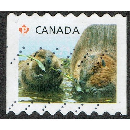 Canada 2011 Young Wildlife (85c) Multicoloured SG2706c GU