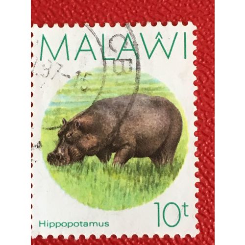 Malawi QEII 1987 Hippopotamus 10t Grazing Used SG 771 Sc 502 postage stamp