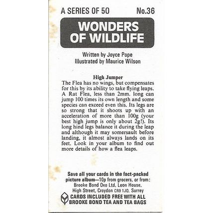 Wonders of Wildlife 1976 Brooke Bond Tea Card 36 - High Jumper