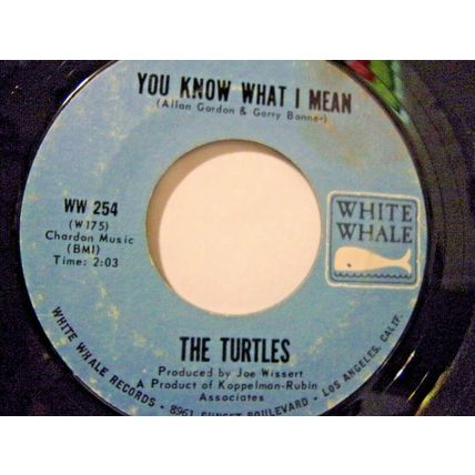 The Turtles-You Know What I Mean / Rugs Of Woods & Flowers-45rpm-1967-VG+