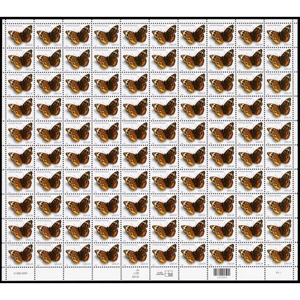 Common Buckeye Butterfly Sheet of One Hundred 24 Cent Postage Stamps Scott 4000