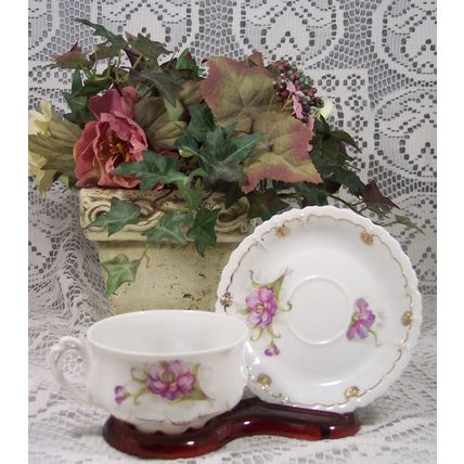 N D & CO Nowotny & Dressle CARLSBAD CHINA AUSTRIA Teacup & Saucer Unique Design