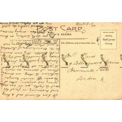 Walmer Castle, Kent, Frith's Series, Saxony, Postcard, 1900/10s