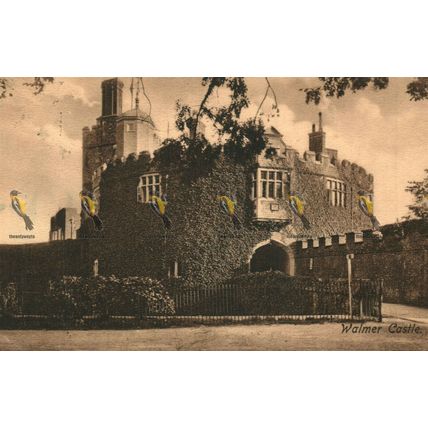 Walmer Castle, Kent, Frith's Series, Saxony, Postcard, 1900/10s