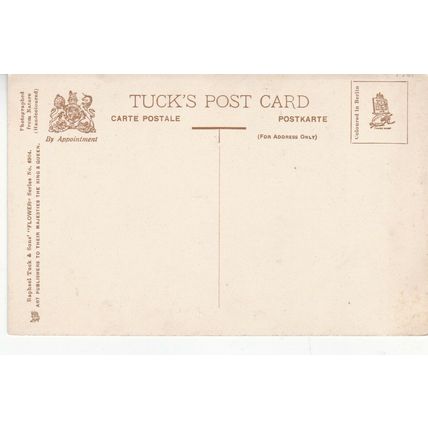Roses Tucks Flower Series 6904 Postcard unused vgc
