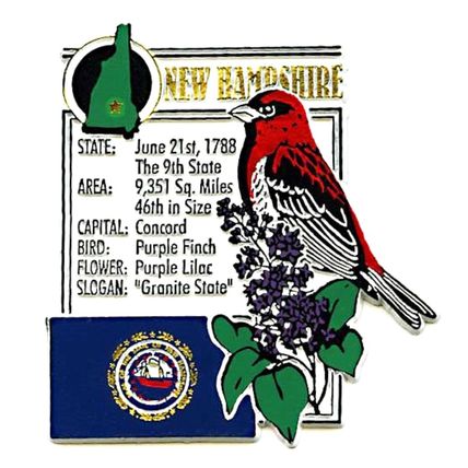 New Hampshire The Granite State Montage Fridge Magnet
