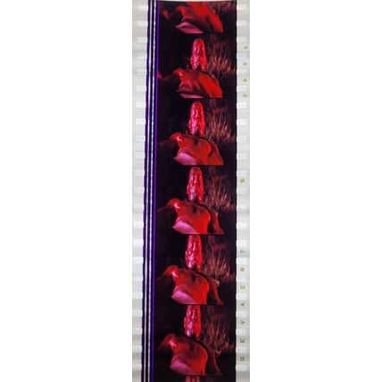 Pk GEB -K - MIX - K c066N . 1 STRIP OF 5 - 35MM FILM CELLS. ( )