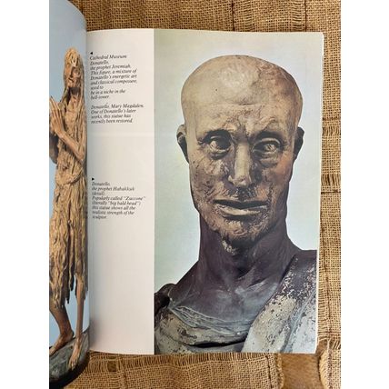 Florence The City And Its Art Luciano Berti Paperback