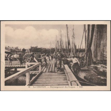 Déchargement des Coques, Le Crotoy, 1934 - Lévy et Neurdein CPSM ND14