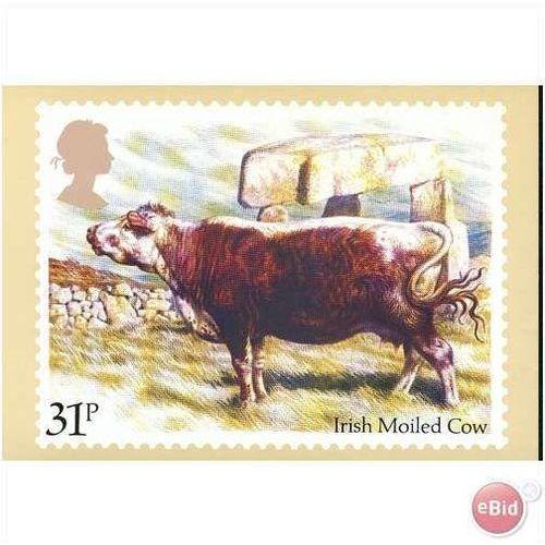 GB PHQ 1984 - British Cattle